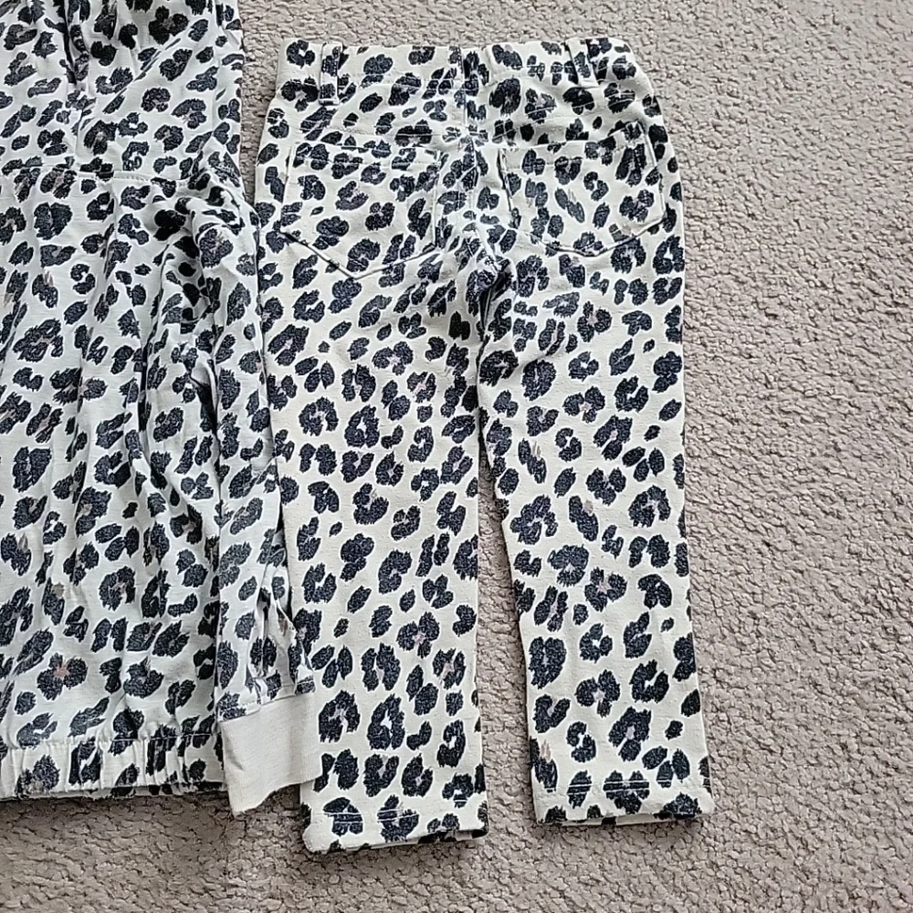 Garanimals Toddler Girl's Set